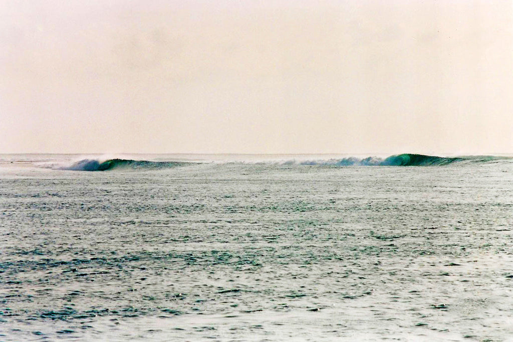 Logan In Lombok